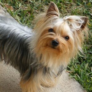 Meet your Posher, Deborah